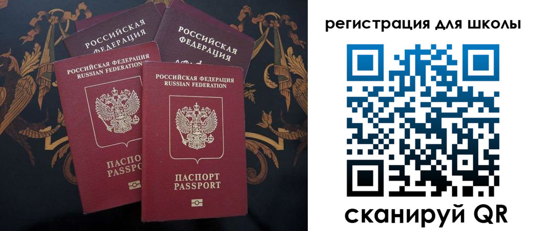 временная регистрация гарантия в Светлогорске